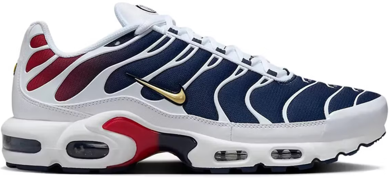 Nike Air Max Plus TN 'PSG'